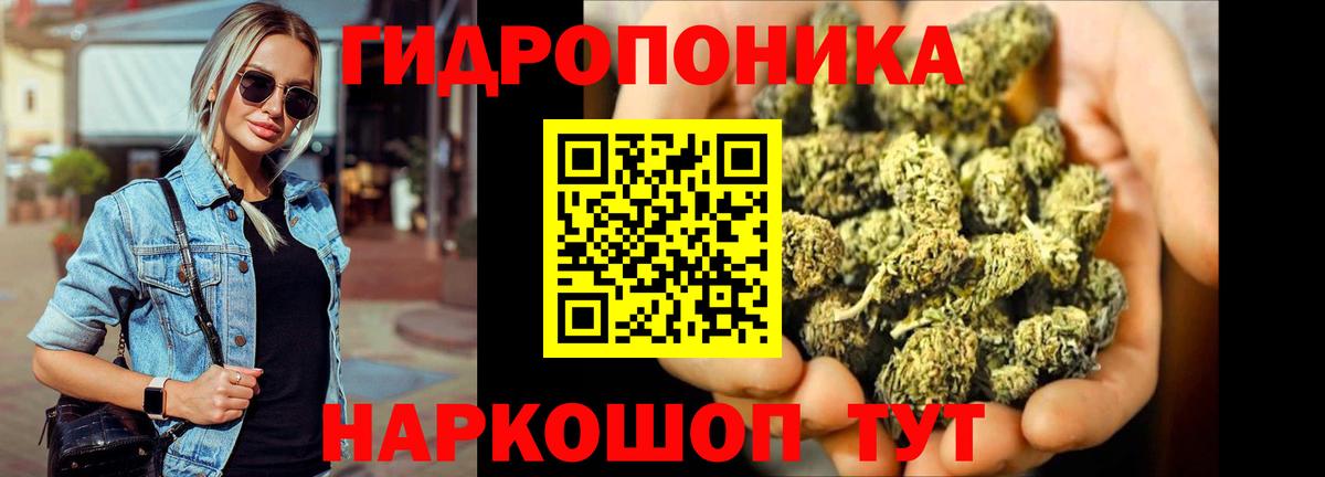 Канабис план Гурьевск